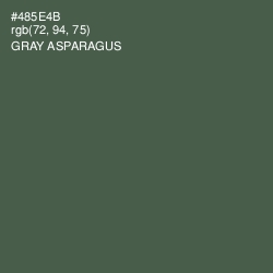 #485E4B - Gray Asparagus Color Image